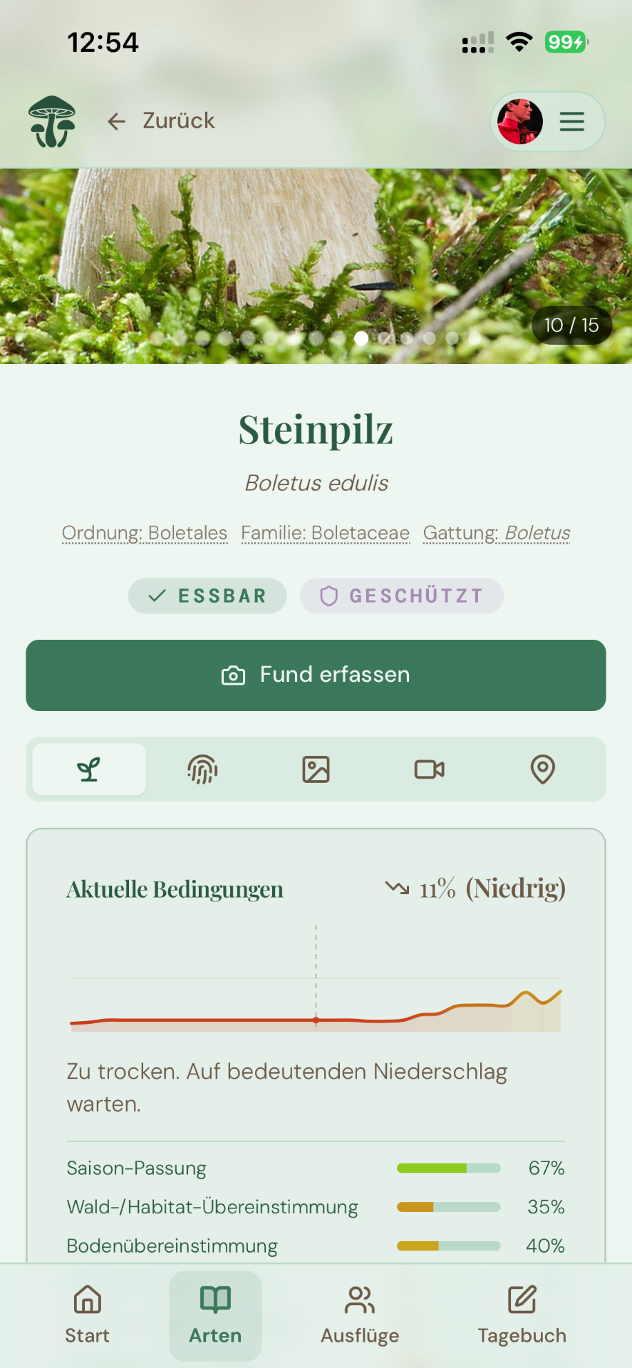 Detailansicht eines Steinpilzes mit Karte der bisherigen Funde