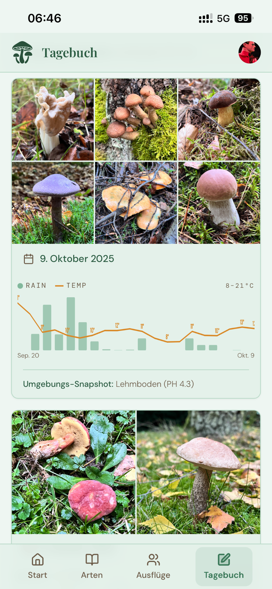 Bildschirm zum Erkennen von Mustern mit Fotos und Wetterverlauf